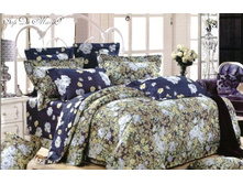 ����*���� ��� ����� 1.6.jpg