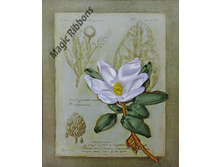 ��������_300+%