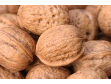 ����� �������� ����� (100��) - 101 ���.