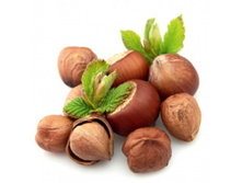 ����� ������� ����� 100�� - 96 ���.