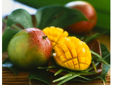 ����� ����� (100��) - 146 ���.