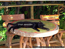 ���� �������!