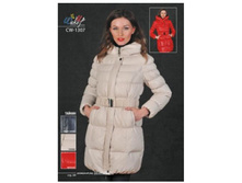 ������ ������� CW-1307.JPG