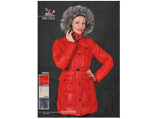 ������ ������� DW-1303a.JPG