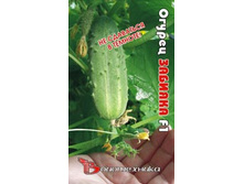 ������ ������� 16,50 ���..jpg