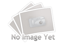 24,60+% ��� ����