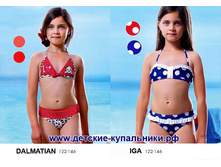 DALMATIAN - 380 ���, IGA - 360 ���