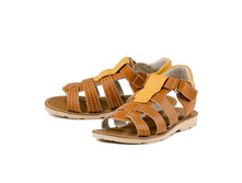 ������� 43301/31201-1-31     535�.