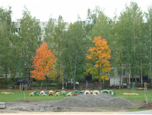 P1000121.JPG