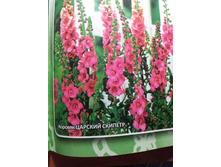 ������� ������� �������.jpg