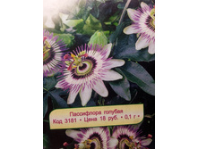 ���������� �������.jpg