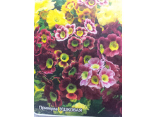 ������� ������� ������� ��ף� 0,05��