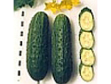 ������ ��������� 31,50 ���..jpg