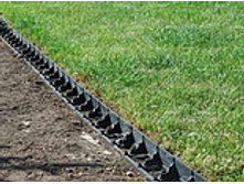 ����������� ������