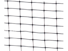 ����� ��� �������� �������� � ������. ���� ���. ����� � �������-����� ������