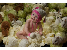 ����� � �������web.jpg