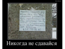 �� ��������.jpg