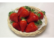 ��������� ������� ���� (5��) (������������, �������������, ���������)  189