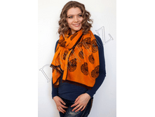 �������� �����-����, ���������.png