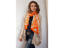 ������ ����, ���������.png