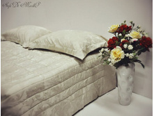 ������ (���) (230�250+2�).jpg