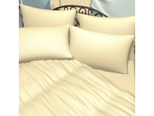 ������������ (��������)