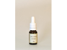 ���������� ����� 10 ��.jpg 144���/129���  (������) ����� ����������� �����!!!!!!