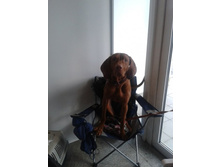 ��� �����!.jpg