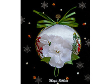 ��������� ������ ����_240+%