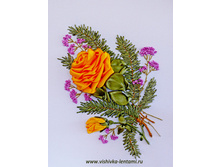 � ����� �����!_250+%