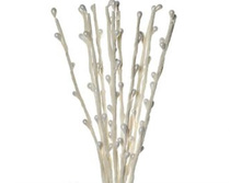 ������� � ��������, �������� �����_79�.jpg