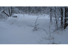 �������� ������� 2013-01-05_11.44.48