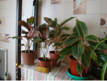 ������������� ���������.JPG