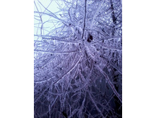 ���� � ����������1.jpg