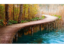 ����� ����� �����. ����� �������� ����