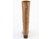 ������ ���