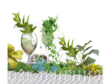 ������� �������� 2-1.jpg