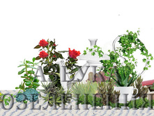 ������� ��������2-1.jpg