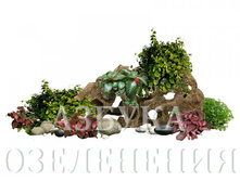 ��������� 5-1.jpg