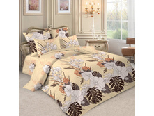 ���������� ����� ������� PL11.jpg