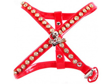 ������ Lim-argy �� �������� ������� 539 ���.jpg