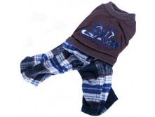 ���������� dib ������ �����  ������ ���� 455 ��� ����� ���� 110 ���.jpg