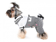 ������ ������� ������