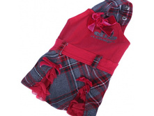 ������� dib ������ ������-����� ������ ���� 425 ��� ����� ���� 95 ���.jpg