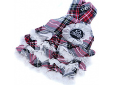 ������� dib ������-���� �������� ������ ����, 455 ��� ����� ���� 100 ���.jpg