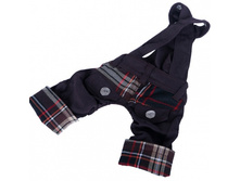 ����� dib ������-������� ���������� ���� 429 ���