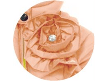 image016.png
