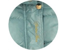 image096.png