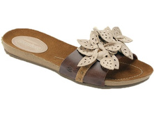 NEW 25604 pinhao.jpg