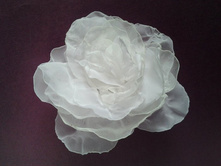 ����� ����� ����